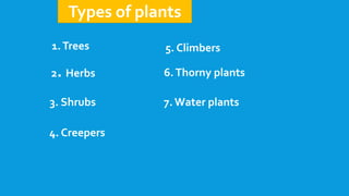 Difference between Climbers and Creepers explained with examples For Kids  Grade 3 4 and 5 EVS 