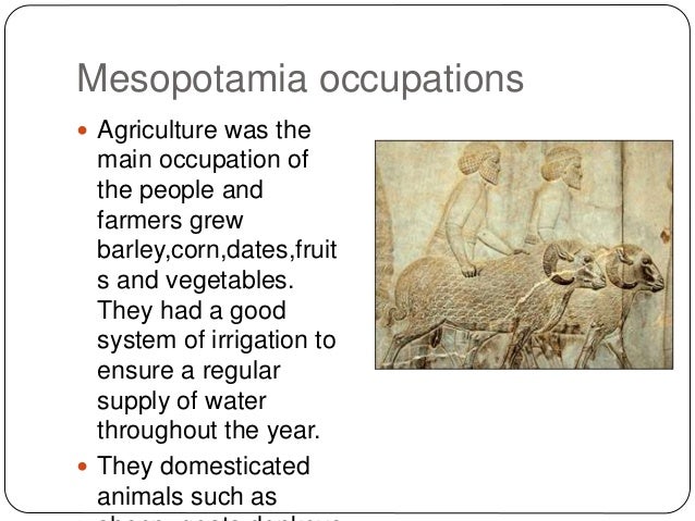 Domesticated Animals In Mesopotamia