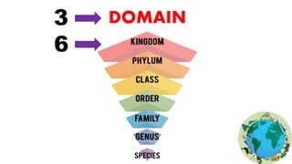 DOMAIN
3
6
 