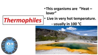 •This organisms are “Heat –
lover”
• Live in very hot temperature.
- usually in 100 °C
Thermophiles
 