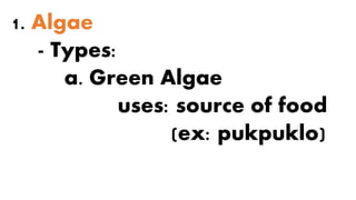 1. Algae
- Types:
a. Green Algae
uses: source of food
(ex: pukpuklo)
 