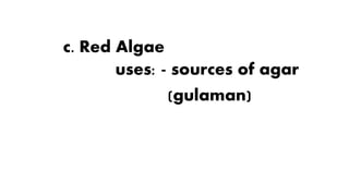 c. Red Algae
uses: - sources of agar
(gulaman)
 
