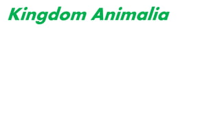 Kingdom Animalia
 