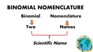 BINOMIAL NOMENCLATURE
Binomial Nomenclature
Two Names
Scientific Name
 