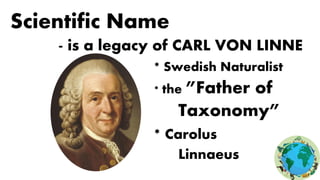 Scientific Name
- is a legacy of CARL VON LINNE
* Swedish Naturalist
* the ”Father of
Taxonomy”
* Carolus
Linnaeus
 