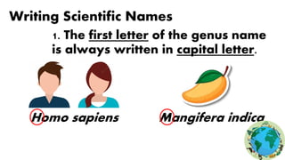 Writing Scientific Names
1. The first letter of the genus name
is always written in capital letter.
Homo sapiens Mangifera indica
 