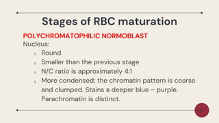 Chromatin Rbc Hematology-1-Lesson_About_Hematopoiesis_and_erythropoetin | PDF