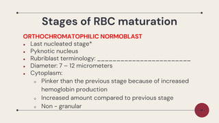 Pyknosis Rbc Hematology-1-Lesson_About_Hematopoiesis_and_erythropoetin | PDF