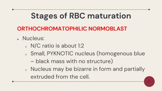 Pknotic Rbc Hematology-1-Lesson_About_Hematopoiesis_and_erythropoetin | PDF