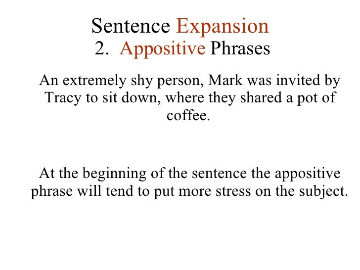 Lesson 3 Sentence Expansion