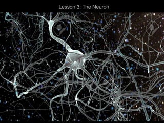 Lesson 3: The Neuron
 
