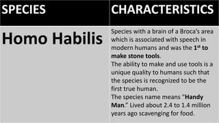 SPECIES CHARACTERISTICS
Homo Habilis
Species with a brain of a Broca’s area
which is associated with speech in
modern humans and was the 1st to
make stone tools.
The ability to make and use tools is a
unique quality to humans such that
the species is recognized to be the
first true human.
The species name means “Handy
Man.” Lived about 2.4 to 1.4 million
years ago scavenging for food.
 