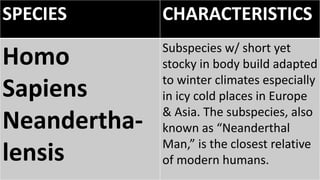 SPECIES CHARACTERISTICS
Homo
Sapiens
Neandertha-
lensis
Subspecies w/ short yet
stocky in body build adapted
to winter climates especially
in icy cold places in Europe
& Asia. The subspecies, also
known as “Neanderthal
Man,” is the closest relative
of modern humans.
 