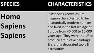 SPECIES CHARACTERISTICS
Homo
Sapiens
Sapiens
Subspecies known as Cro-
magnon characterized to be
anatomically modern humans
and lived in the last Ice Age of
Europe from 40,000 to 10,000
years ago. They were the 1st to
produce art in cave paintings
& crafting decorated tools &
accessories.
 