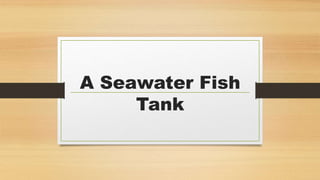 A Seawater Fish
Tank
 