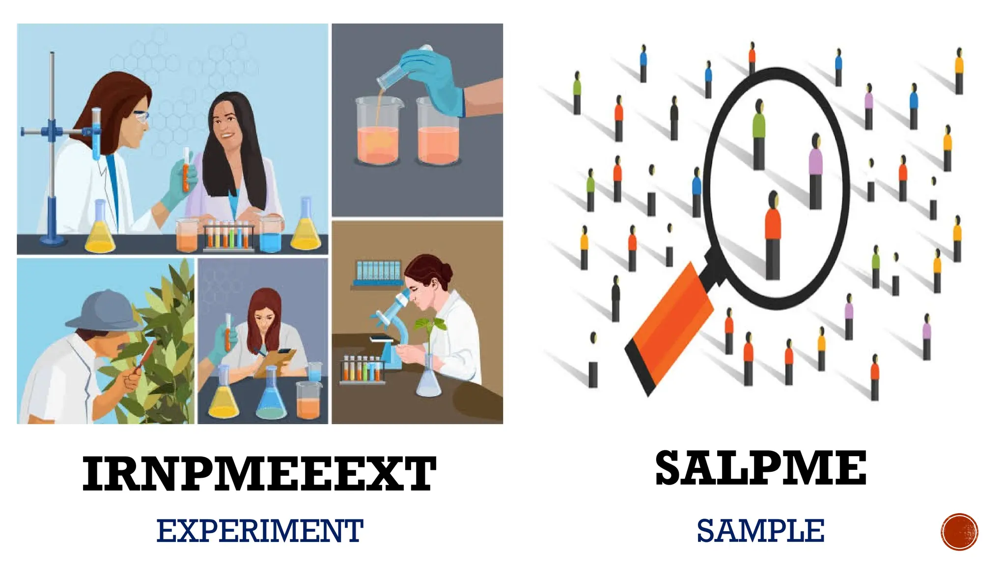 IRNPMEEEXT
SAMPLE
SALPME
EXPERIMENT
 