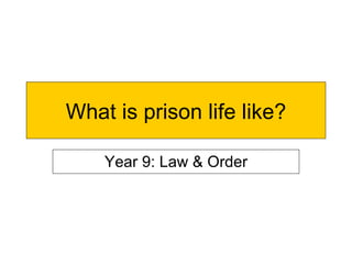 What is prison life like? Year 9: Law & Order 
