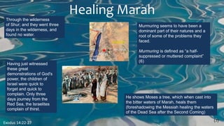 Healing Marah
(7)
Exodus 14:22-27
Through the wilderness
of Shur; and they went three
days in the wilderness, and
found no water.
Murmuring seems to have been a
dominant part of their natures and a
root of some of the problems they
faced.
Murmuring is defined as “a half-
suppressed or muttered complaint”
(6)
Having just witnessed
these great
demonstrations of God's
power, the children of
Israel were quick to
forget and quick to
complain. Only three
days journey from the
Red Sea, the Israelites
complain of thirst.
He shows Moses a tree, which when cast into
the bitter waters of Marah, heals them
(foreshadowing the Messiah healing the waters
of the Dead Sea after the Second Coming)
 