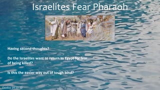 Israelites Fear Pharaoh
Having second thoughts?
Do the Israelites want to return to Egypt for fear
of being killed?
Is this the easier way out of tough bind?
Exodus 14:10-12
 