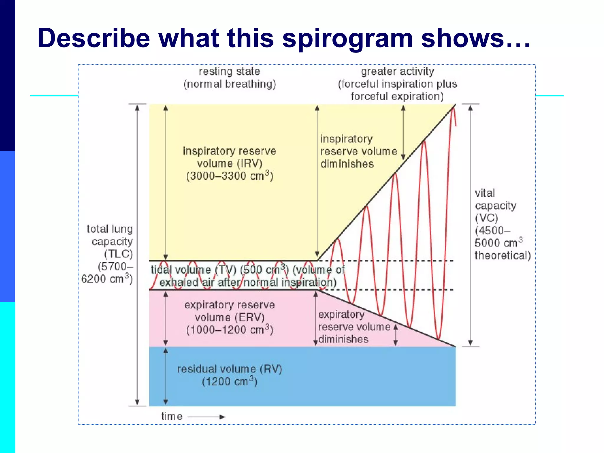 Describe what this spirogram shows… 