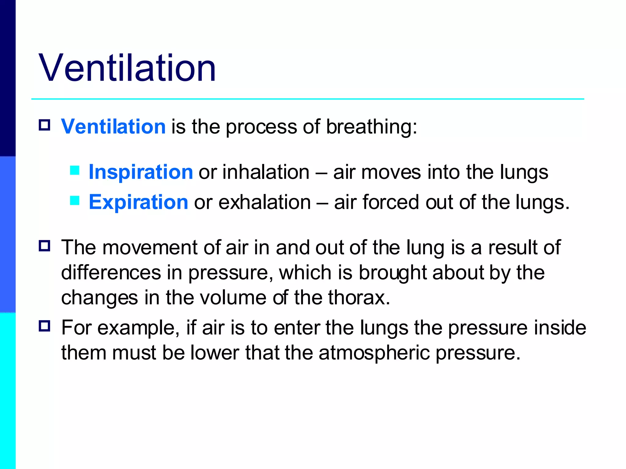 Ventilation Ventilation  is the process of breathing: Inspiration  or inhalation – air moves into the lungs Expiration  or exhalation – air forced out of the lungs. The movement of air in and out of the lung is a result of differences in pressure, which is brought about by the changes in the volume of the thorax. For example, if air is to enter the lungs the pressure inside them must be lower that the atmospheric pressure. 