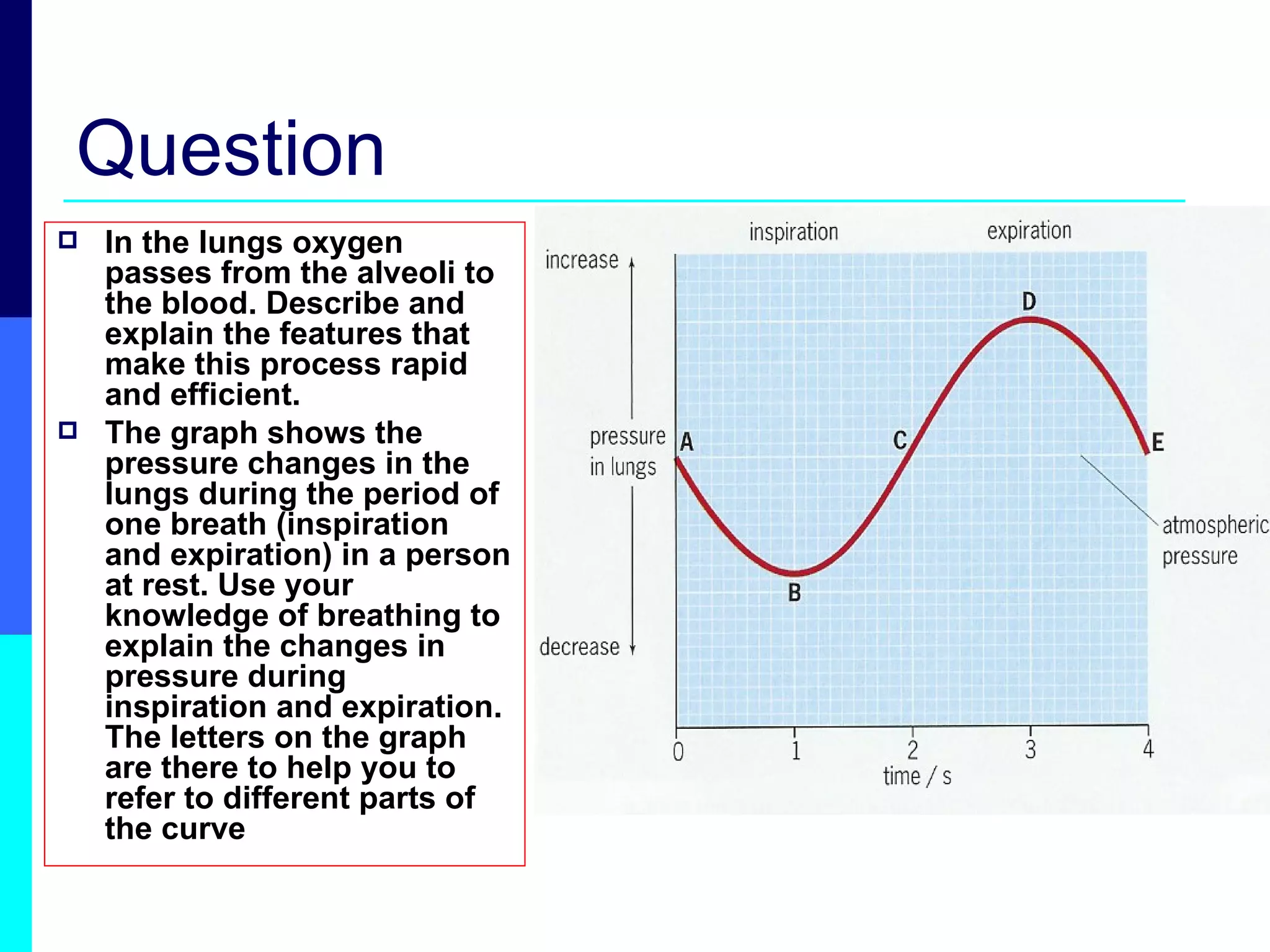 Question In the lungs oxygen passes from the alveoli to the blood. Describe and explain the features that make this process rapid and efficient. The graph shows the pressure changes in the lungs during the period of one breath (inspiration and expiration) in a person at rest. Use your knowledge of breathing to explain the changes in pressure during inspiration and expiration.  The letters on the graph are there to help you to refer to different parts of the curve 