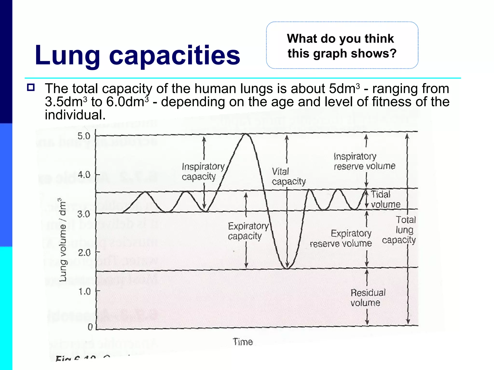 Lung capacities The total capacity of the human lungs is about 5dm 3  - ranging from 3.5dm 3  to 6.0dm 3  - depending on the age and level of fitness of the individual. What do you think  this graph shows? 