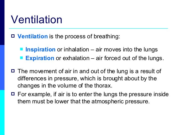 Lesson 5 Mechanisms Of Ventilation