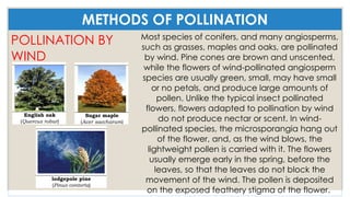 QUARTER 2 LESSON-6-SEXUAL-REPRODUCTION.pptx