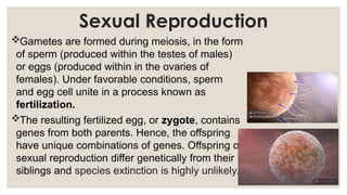 QUARTER 2 LESSON-6-SEXUAL-REPRODUCTION.pptx