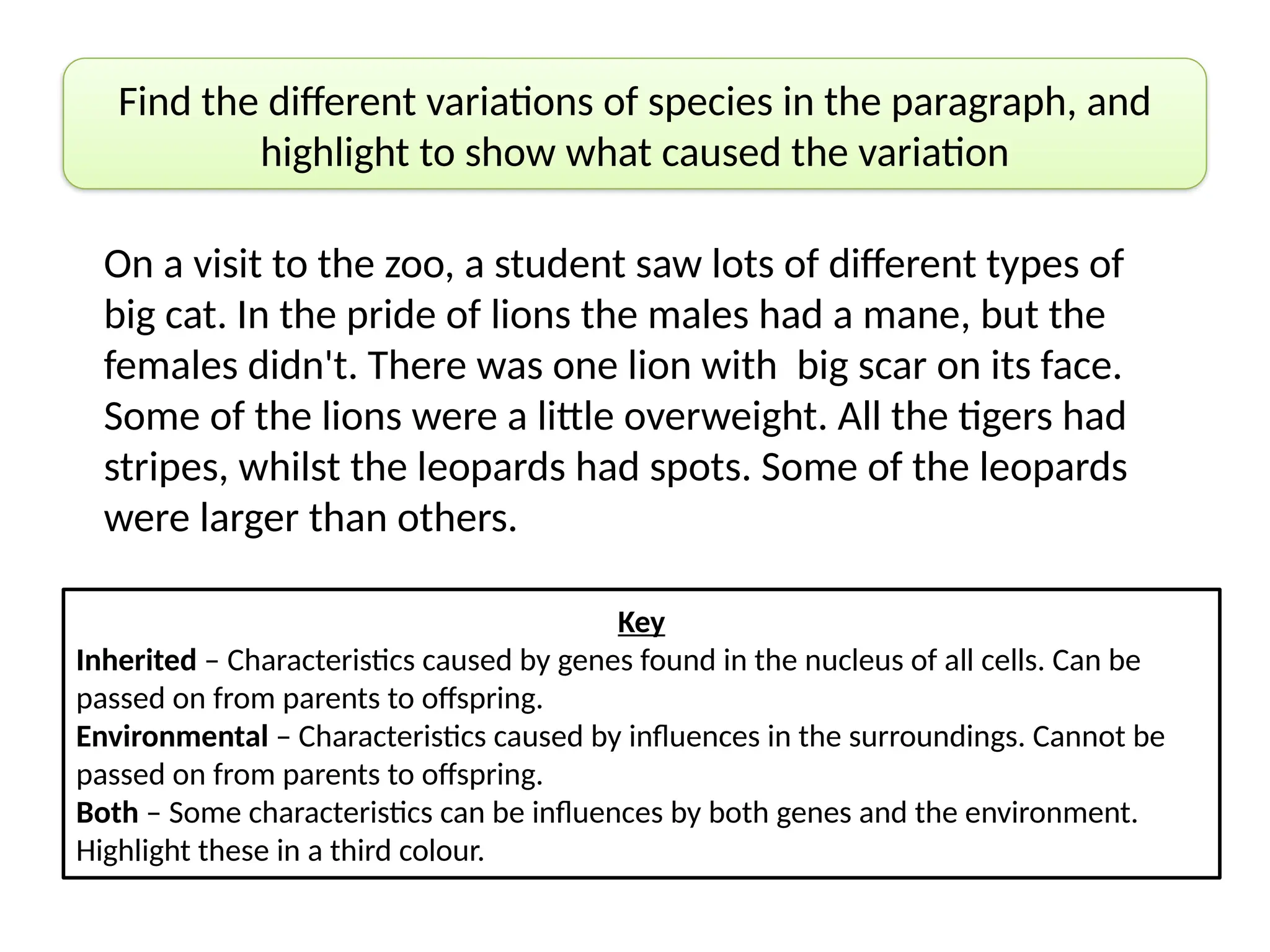 Find the different variations of species in the paragraph, and
highlight to show what caused the variation
On a visit to the zoo, a student saw lots of different types of
big cat. In the pride of lions the males had a mane, but the
females didn't. There was one lion with big scar on its face.
Some of the lions were a little overweight. All the tigers had
stripes, whilst the leopards had spots. Some of the leopards
were larger than others.
Key
Inherited – Characteristics caused by genes found in the nucleus of all cells. Can be
passed on from parents to offspring.
Environmental – Characteristics caused by influences in the surroundings. Cannot be
passed on from parents to offspring.
Both – Some characteristics can be influences by both genes and the environment.
Highlight these in a third colour.
 