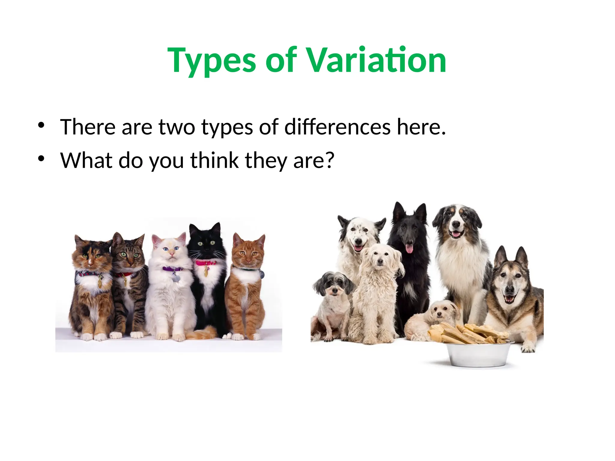 Types of Variation
• There are two types of differences here.
• What do you think they are?
 