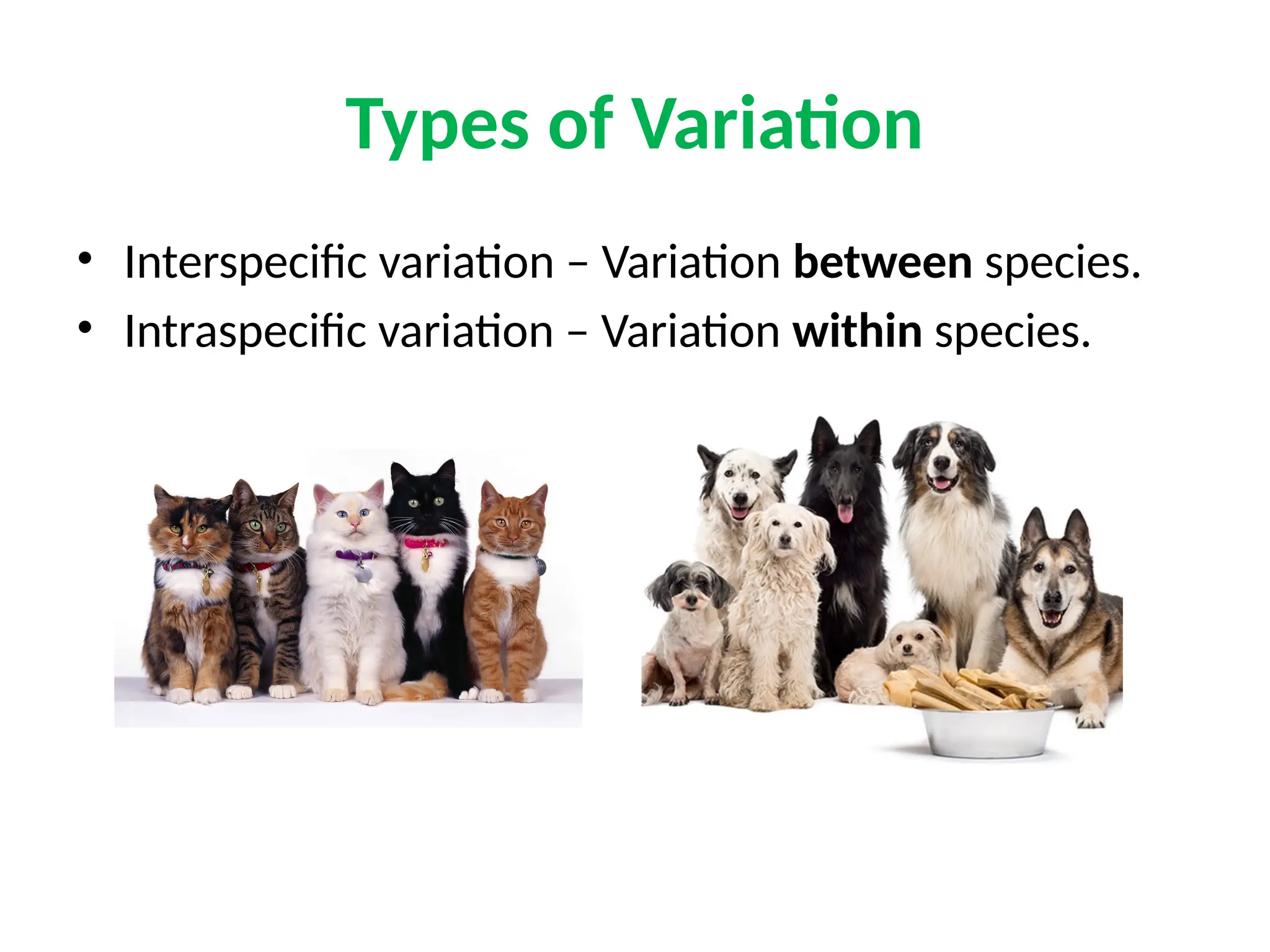 Types of Variation
• Interspecific variation – Variation between species.
• Intraspecific variation – Variation within species.
 