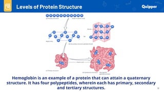 Protein Lesson General Biology lesson about PROTEINS.pdf