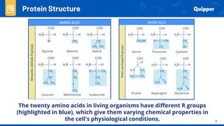 Protein Lesson General Biology lesson about PROTEINS.pdf