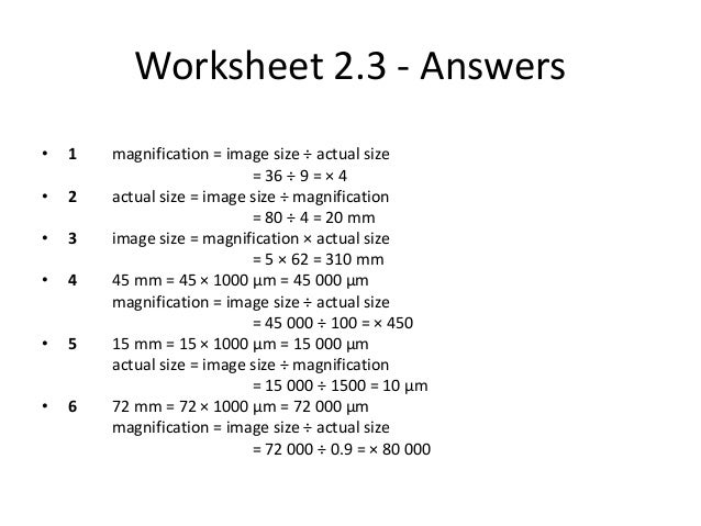 Printables Biological Magnification Worksheet Answers biomagnification worksheet davezan biological magnification versaldobip