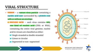 Virology Examples Comprehensive Introduction to Virology: Structure, Replication, and ...