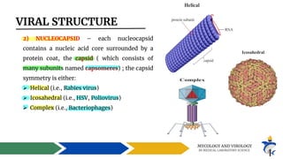 Comprehensive Introduction to Virology: Structure, Replication, and ...