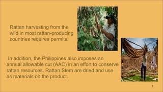 Rattan lesson 3 indigenous And creative crafts | PDF