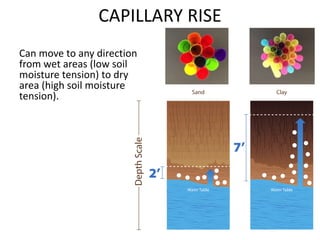 Water management type of water nutrients availability ans loses | PPTX