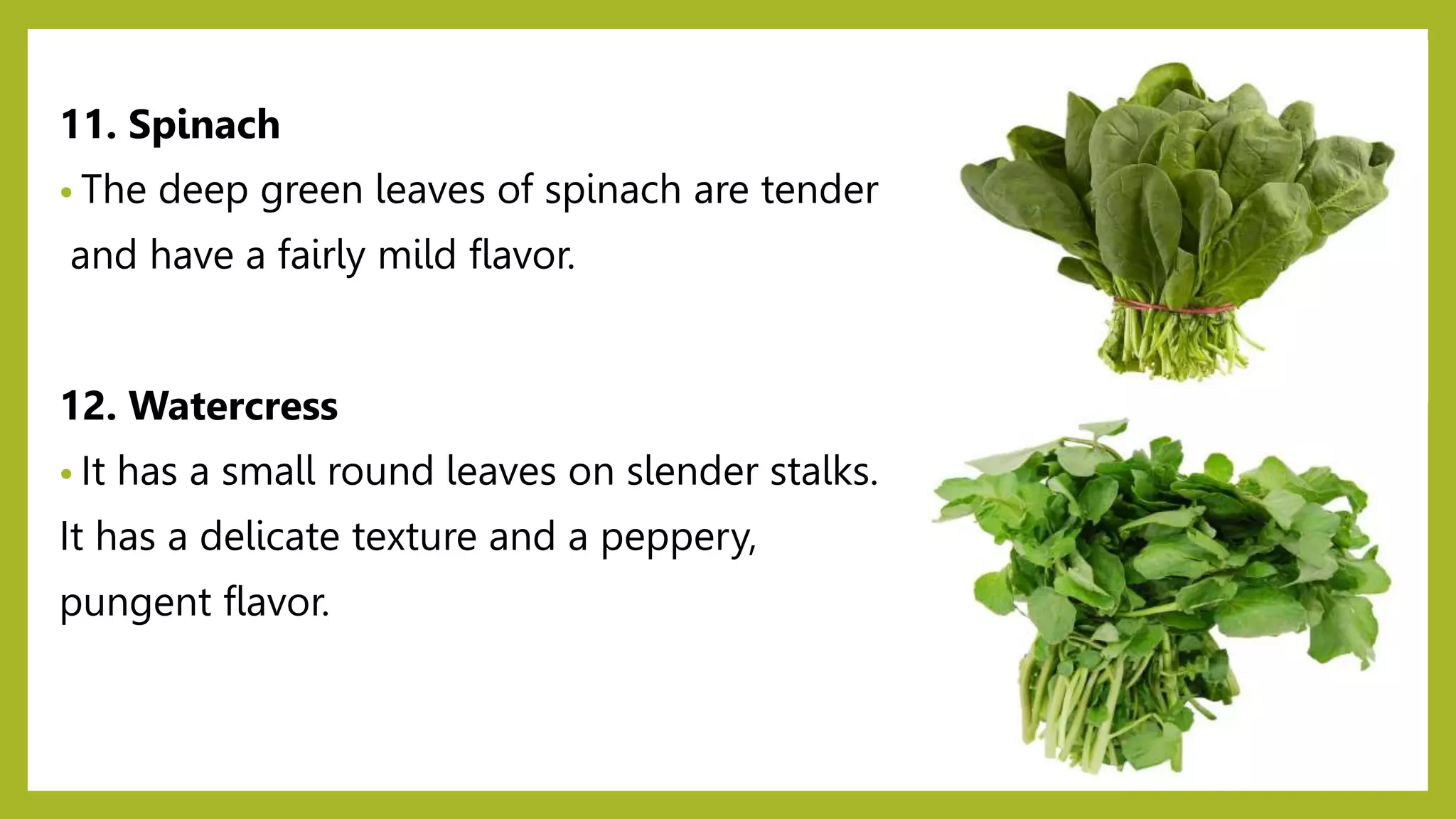 11. Spinach
• The deep green leaves of spinach are tender
and have a fairly mild flavor.
12. Watercress
• It has a small round leaves on slender stalks.
It has a delicate texture and a peppery,
pungent flavor.
 