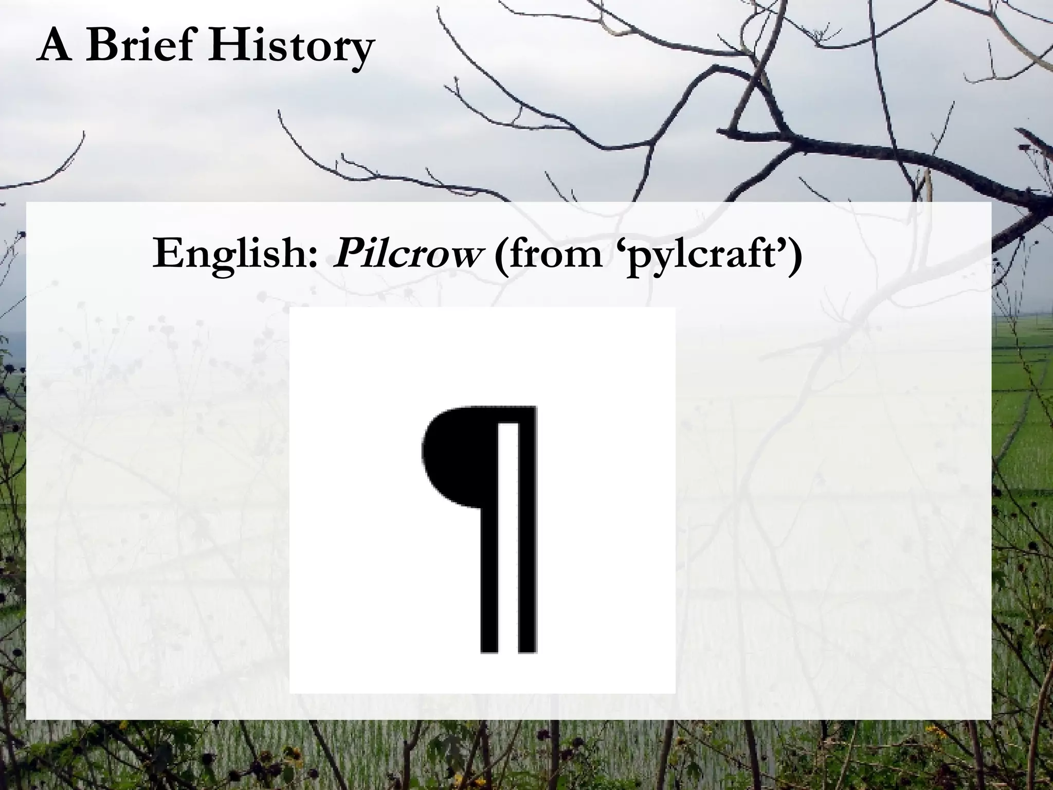 Lesson Four: Paragraphing | PPT