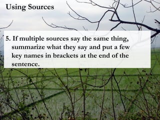 Source Sentences Lesson Four: Paragraphing | PPT