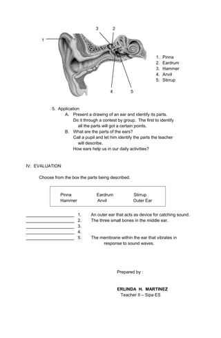 3 2
1
1. Pinna
2. Eardrum
3. Hammer
4. Anvil
5. Stirrup
4 5
5. Application
A. Present a drawing of an ear and identify its...