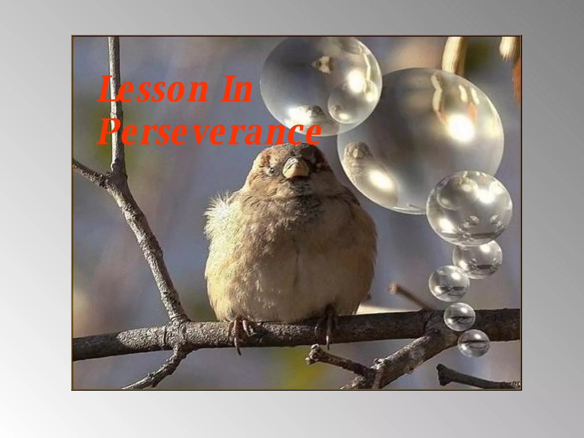 Iammia1 Onlyfans: A Lesson In Perseverance - 9b0c6cf