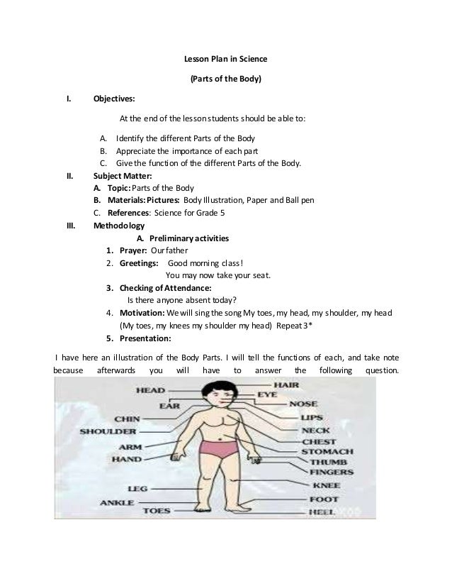 lesson plan in science parts of the body