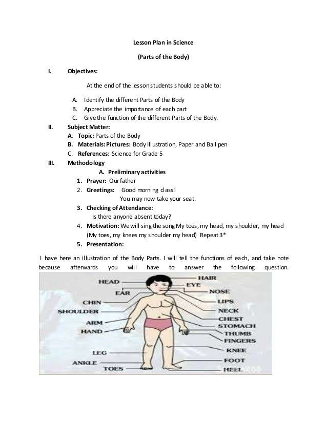 Lesson Plan in science PARTS OF THE BODY Lesson Plan in science PARTS OF THE BODY