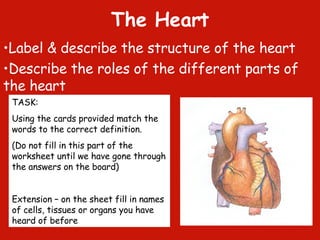 The Heart ,[object Object],[object Object],TASK: Using the cards provided match the words to the correct definition.  (Do not fill in this part of the worksheet until we have gone through the answers on the board) Extension – on the sheet fill in names of cells, tissues or organs you have heard of before 