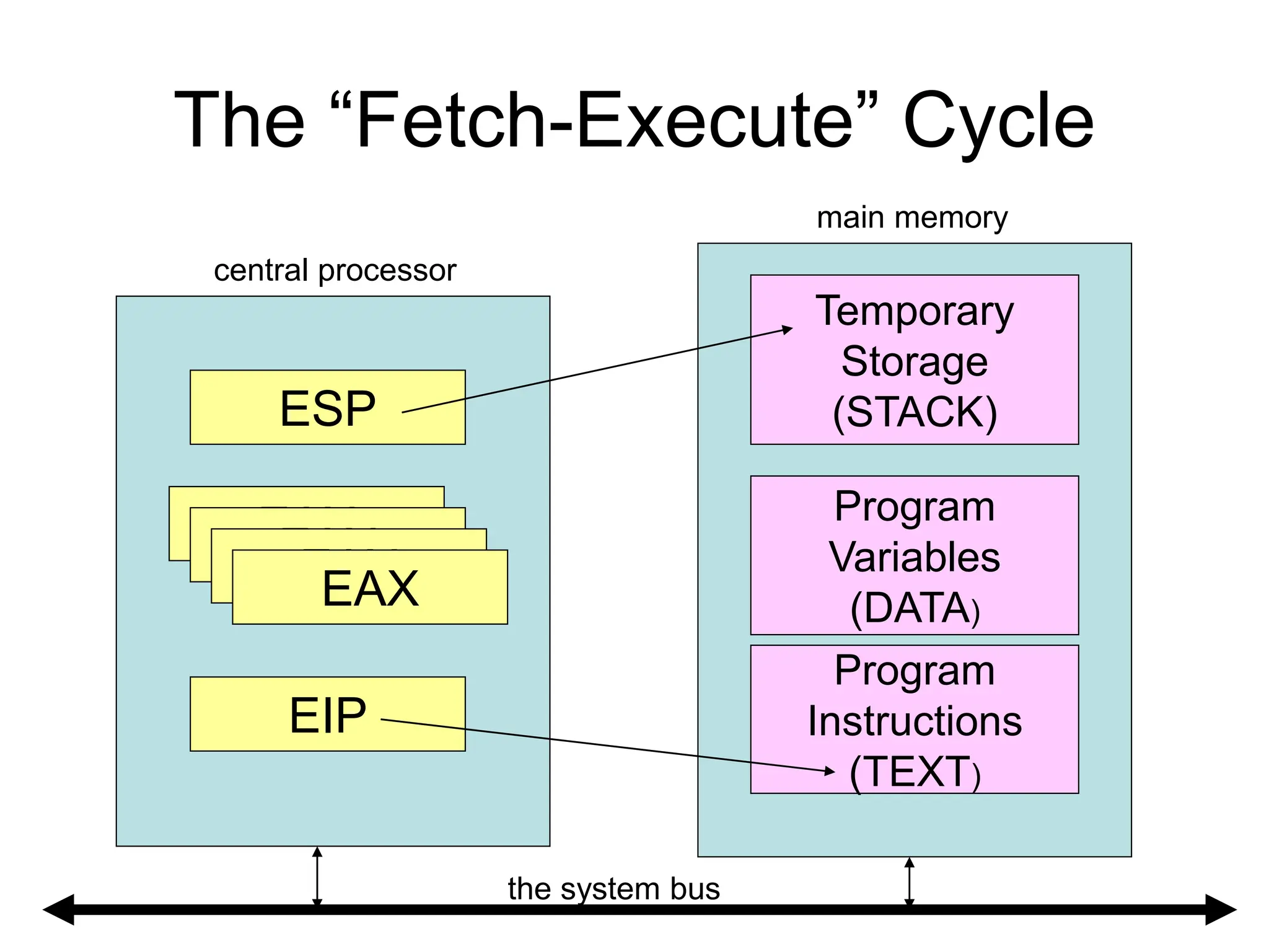 The “Fetch-Execute” Cycle
ESP
EIP
Program
Instructions
(TEXT)
Program
Variables
(DATA)
Temporary
Storage
(STACK)
main memory
central processor
EAX
EAX
EAX
EAX
the system bus
 