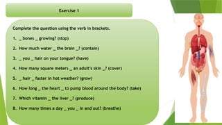 Comprehensive English Lesson on Present Simple Tense and Vocabulary | PPTX